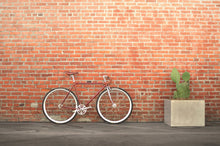 Charger l'image dans la galerie, Roosevelt