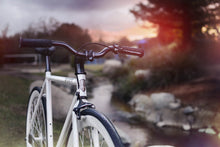 Načíst obrázek do prohlížeče Galerie, Zulu