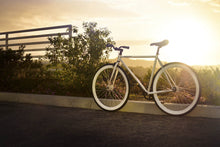 Načíst obrázek do prohlížeče Galerie, Zulu